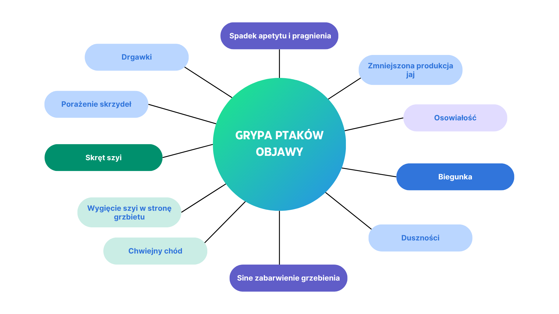 GrypaPtakówObjawy