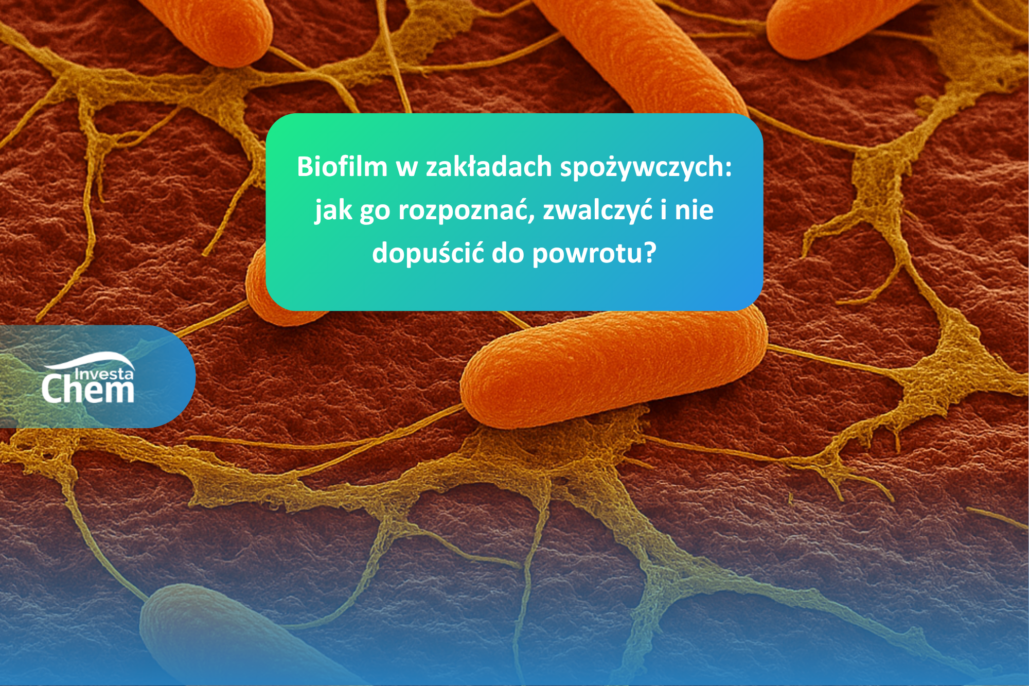 Biofilm