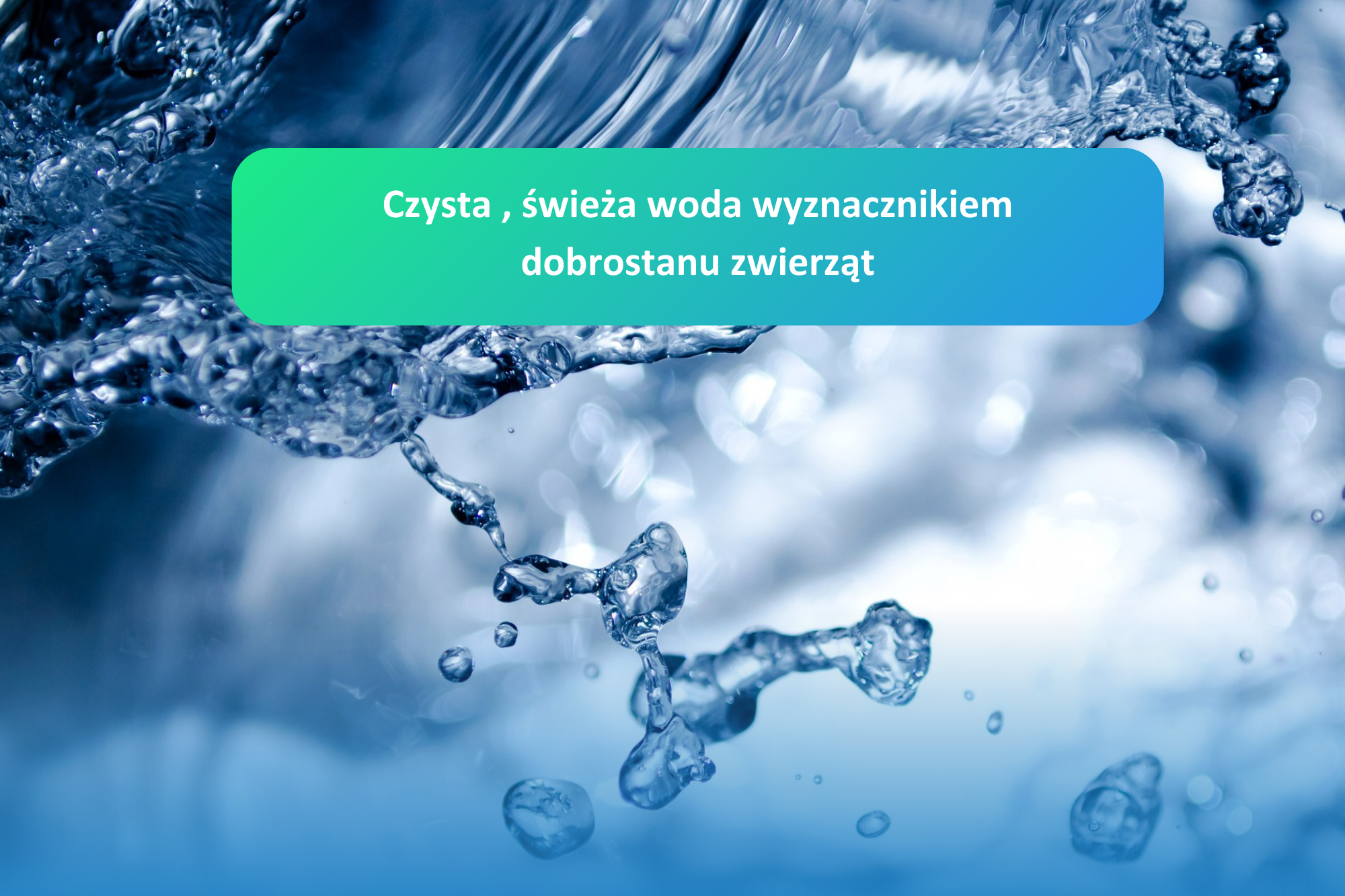 Czysta woda