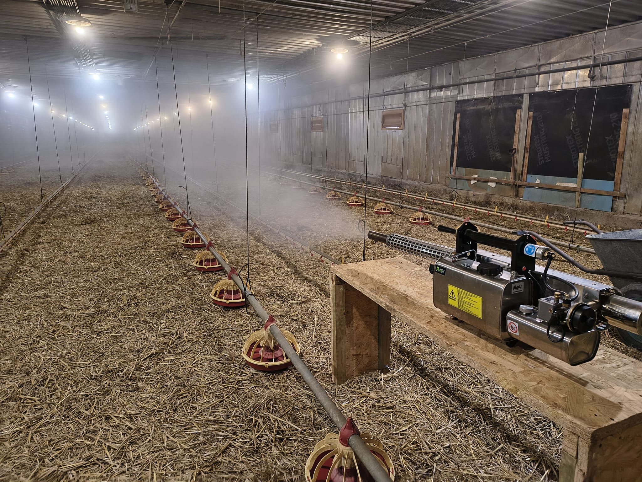 Zamgławianie kurnika