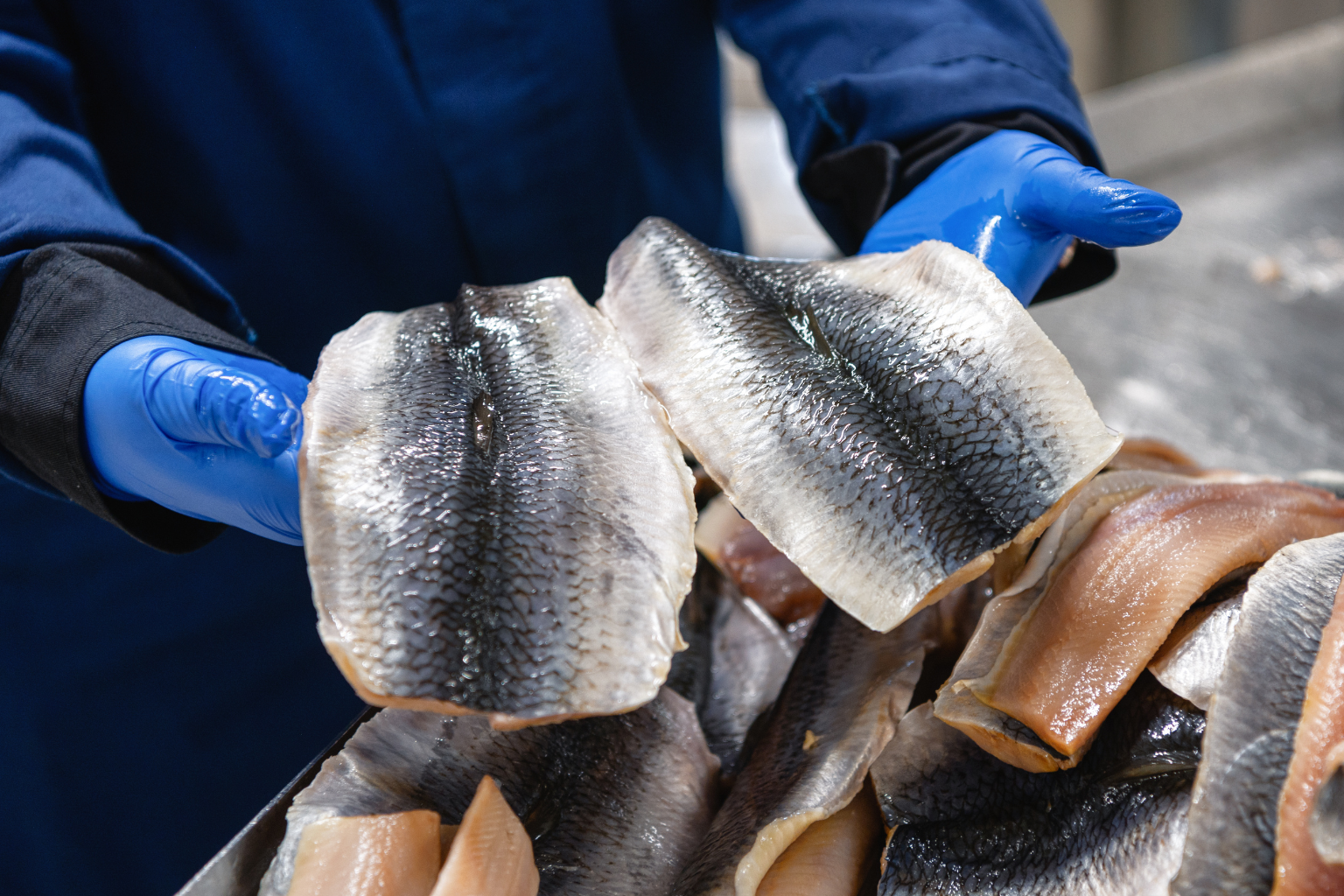 Higiena w przetwórstwie rybnym