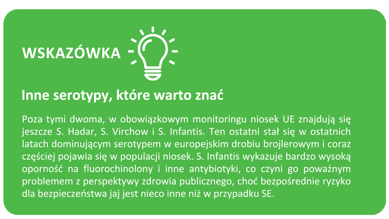 Serotypy salmonelli które warto znać