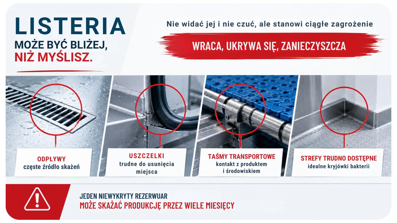 listeria stanowi duże zagrożenie i może wysępować w wielu trudnych do mycia miejscach