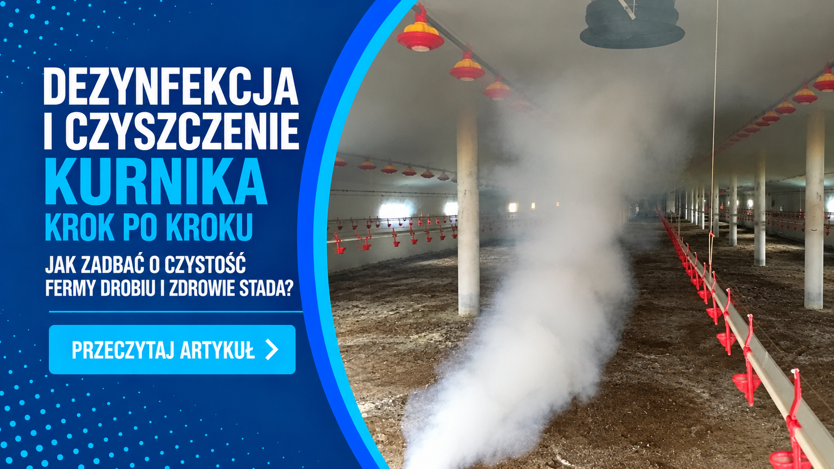 Dezynfekcja kurnika krok po kroku